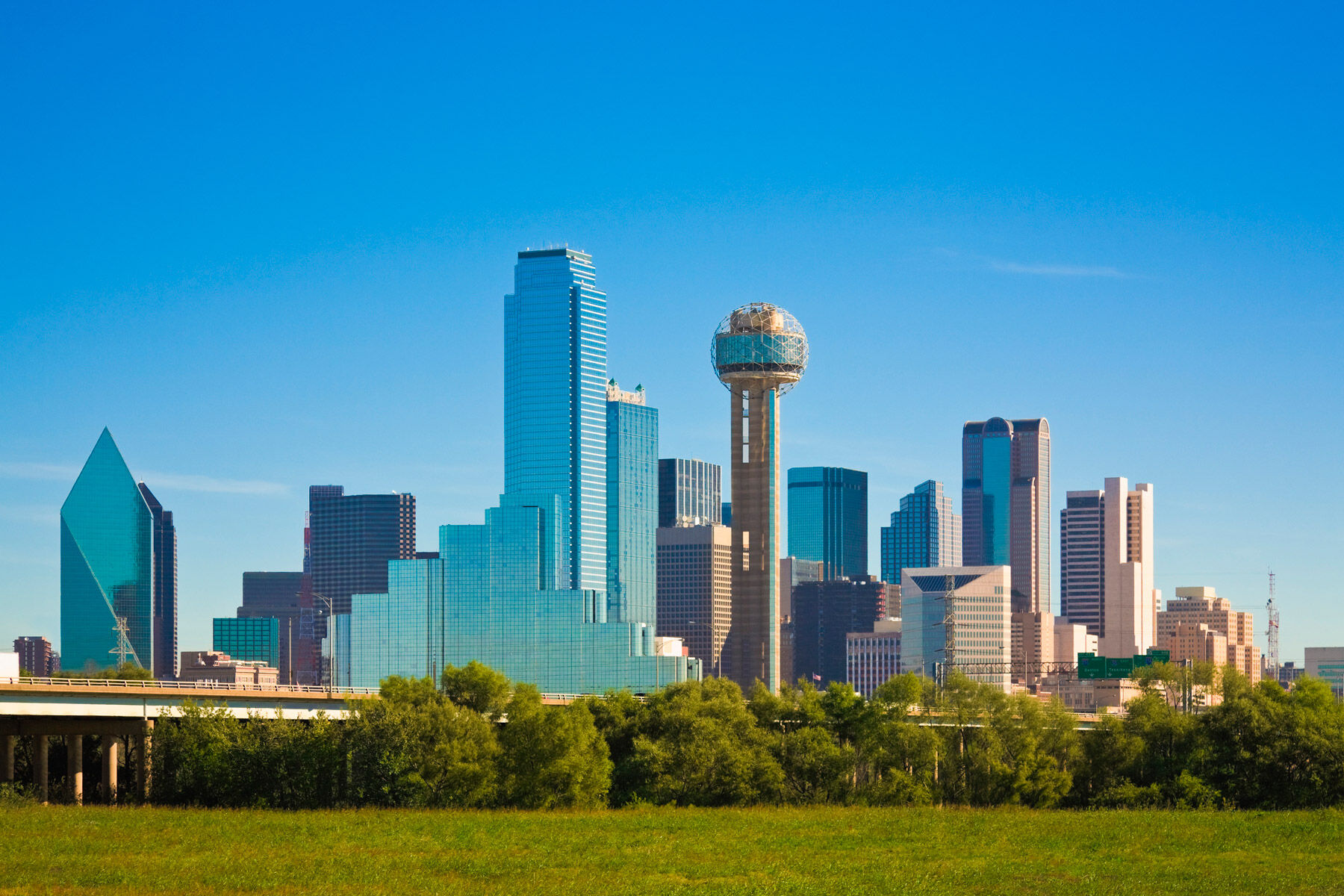 Artificial grass installation in Dallas, TX