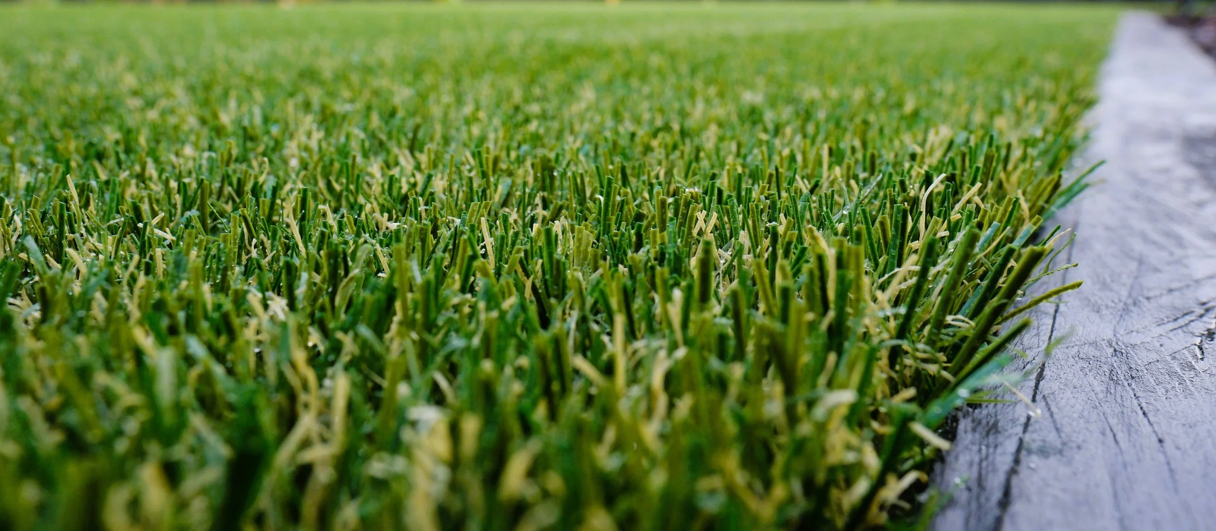 Artificial Grass Maintenance in Richardson, TX